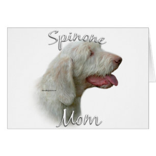 Spinone Italiano Moeder 2