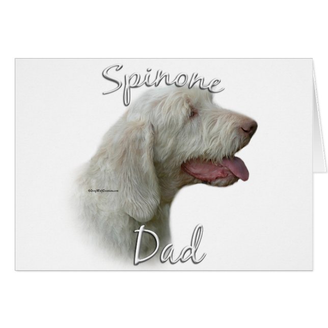 Spinone Italiano Papa 2 (Devant horizontal)
