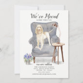 Spinone Italiano We hebben de aankondiging verplaa (Voorkant)