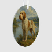 Spinone Italien (devant)