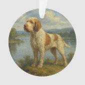 Spinone Italien (devant)