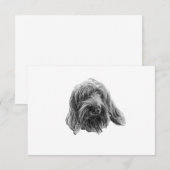 Spinone Stille Dank Bedankkaart (Voorkant / Achterkant)