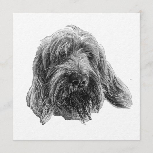 Spinone Supper Invite Kaart (Voorkant)