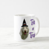 Spinone Trick Mok (Voorkant rechts)