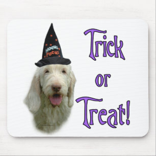 Spinone Trick Mousepad Muismat