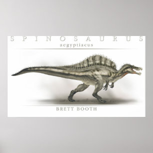 Spinosaurus aegypticus poster
