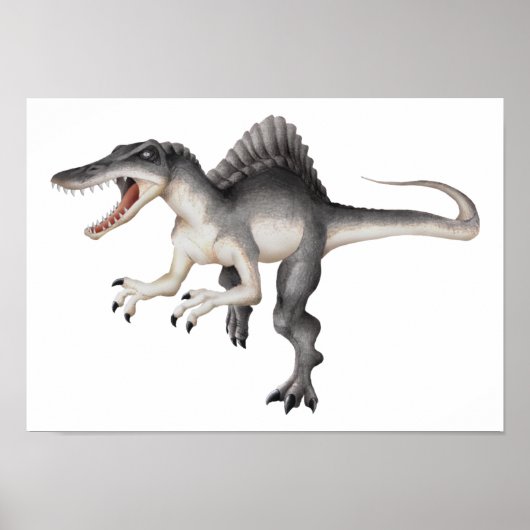 Spinosaurus Poster (Voorkant)