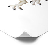 Spinosaurus Poster (Hoek)