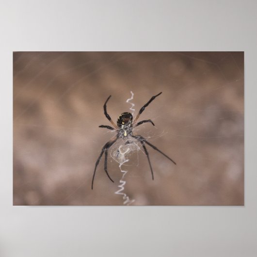 SpinPoster Poster (Voorkant)
