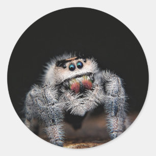 Spinsticker Ronde Sticker