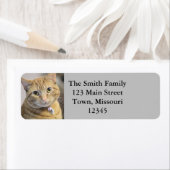 Spint Etiket (Insitu)