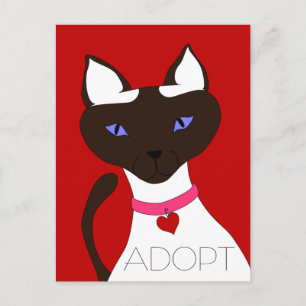 Spint-fect Moira ADOPTIE Briefkaart