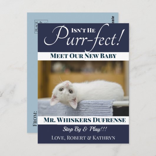 "Spint-fect"Nieuwe Kat Aankondiging Briefkaart (Voorkant / Achterkant)