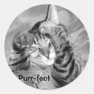 Spint-   fectsticker ronde sticker