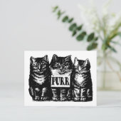 Spint Kittens Briefkaart (Staand voorkant)