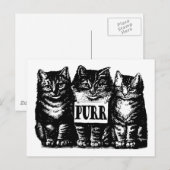 Spint Kittens Briefkaart (Voorkant / Achterkant)