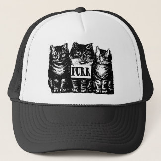 Spint Kittens Trucker Pet