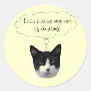 Spint mijn manier uit om het even welke Stickers