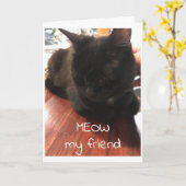 *** SPINT-SUASIVE CAT*** ZEGT GELUKKIGE VERJAARDAG KAART (Gele Bloem)