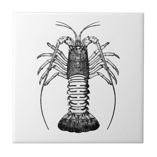 Spiny Lobster (Californië) Tegeltje (Voorkant)