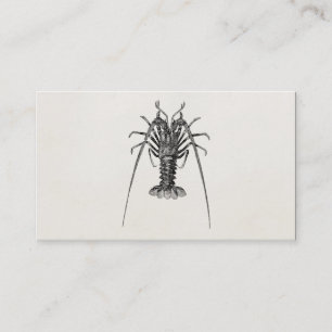 Spiny Lobster Persoonlijke Sjabloon Visitekaartje