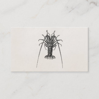 Spiny Lobster Persoonlijke Sjabloon Visitekaartje