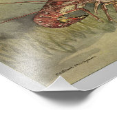 Spiny Lobster Print Foto Afdruk (Hoek)