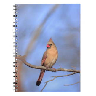 Spiraal foto notitieboek met vrouw noord Cardina