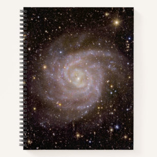 Spiraal Galaxy IC 342 Notitieboek