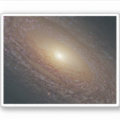 Spiraal Galaxy NGC 2841 Sticker (Voorkant)