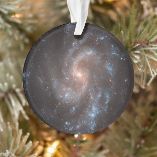 Spiraal Galaxy NGC 5584 Ornament (Boom)