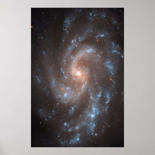 Spiraal Galaxy NGC 5584 Poster (Voorkant)