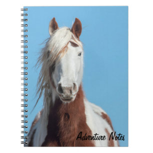 Spiraal Notitieboek w / sterke spirit