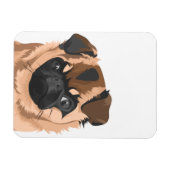 spiraalmagneet magneet (Horizontaal)