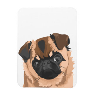 spiraalmagneet magneet