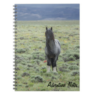 Spiraalvormig Notitieboek w / wild Blue Zeus