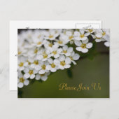 Spiraea, doe mee met ons Briefkaart (Voorkant / Achterkant)