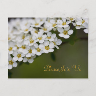 Spiraea, doe mee met ons Briefkaart