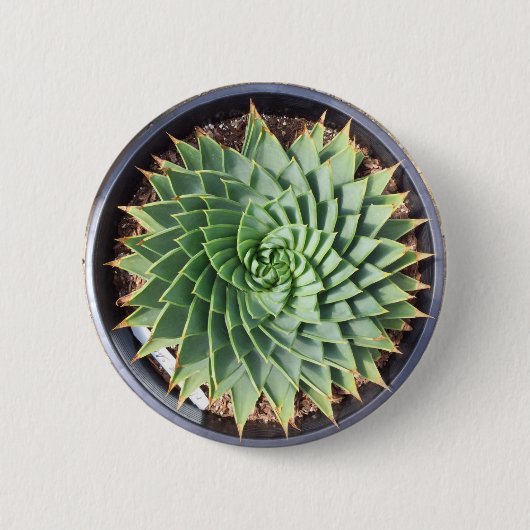 Spiral Aloe Button (Voorkant)