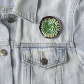 Spiral Aloe Button (In situ)