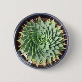 Spiral Aloe Button