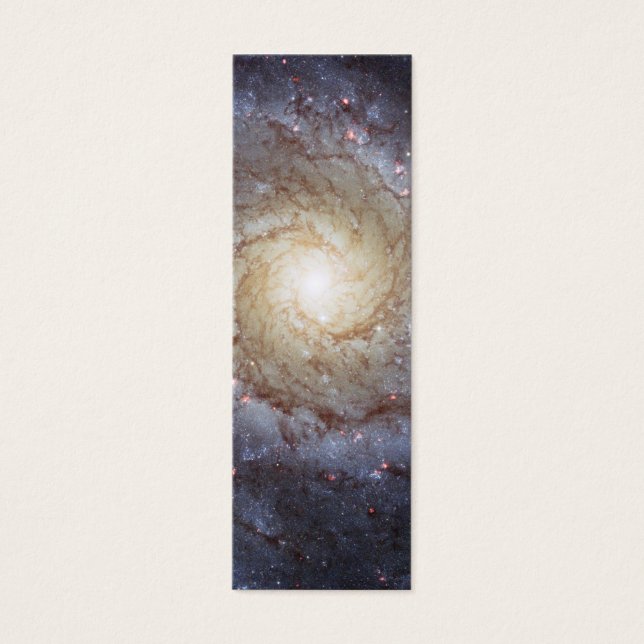 Spiral Galaxy M74 (Devant)