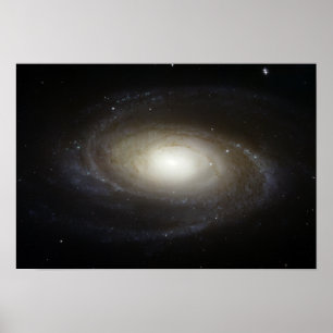 Spiral Galaxy M81 Poster