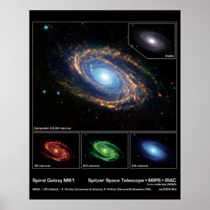 Spiral Galaxy M81 - Spitzer Space Telescope Poster