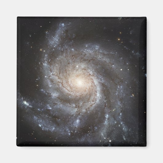 Spiral Messier 101 Magneet (Voorkant)