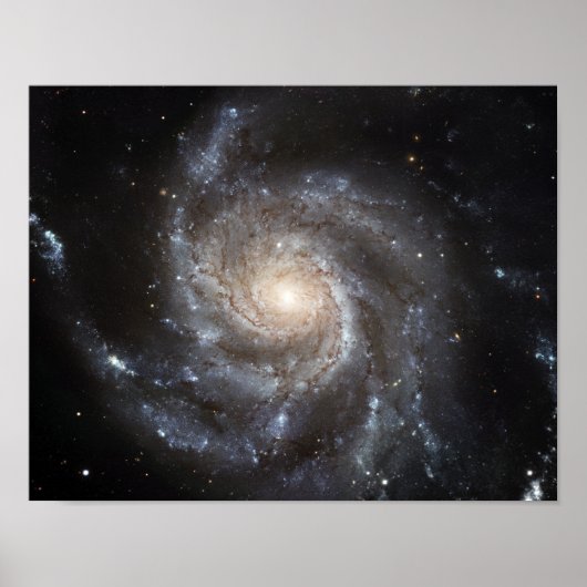 Spiral Messier 101 Poster (Voorkant)
