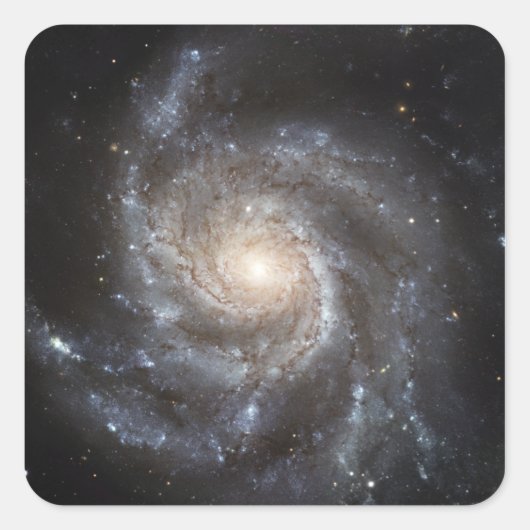 Spiral Messier 101 Vierkante Sticker (Voorkant)