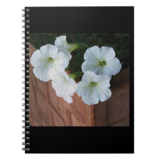 Spiral notebook met heerlijke witte Petunia Notitieboek