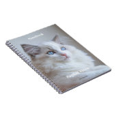 Spiral notebook - Ragdoll Kitten Boris SugarPuffs Notitieboek (Rechterzijde)