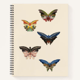 Spiral Notitieboek, de vlinders van Albert Biersta Notitieboek